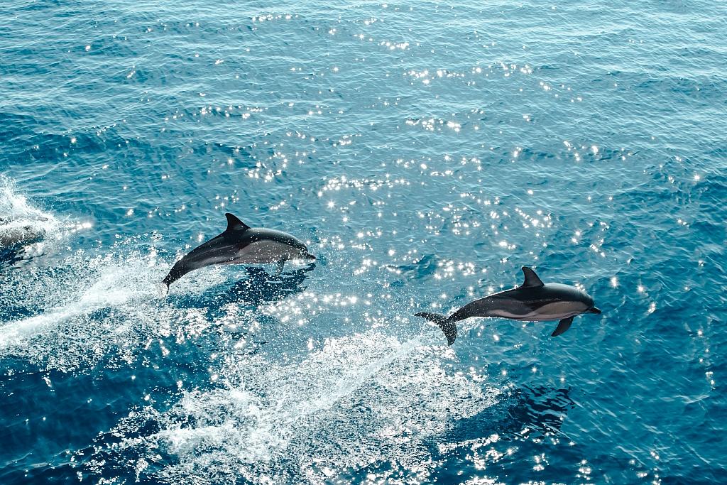 Anjunadeep Explorations - Albania