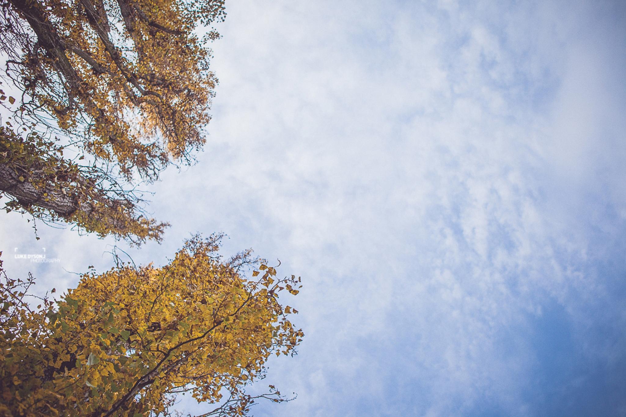 Duke Dumont - Live Show - European Tour - Luke Dyson Photography - Blog - November 2014