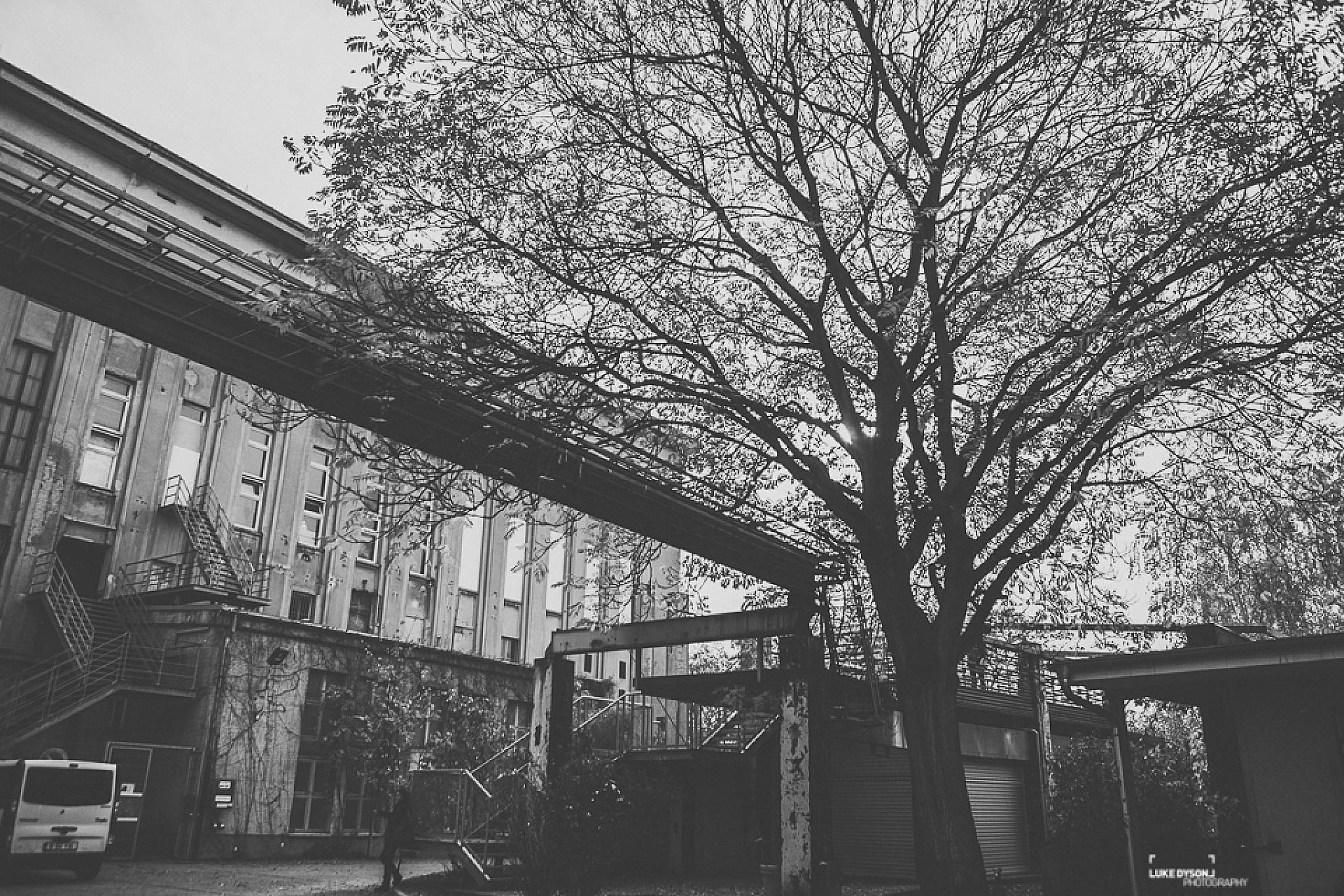 Duke Dumont - Live Show - European Tour - Luke Dyson Photography - Blog - November 2014