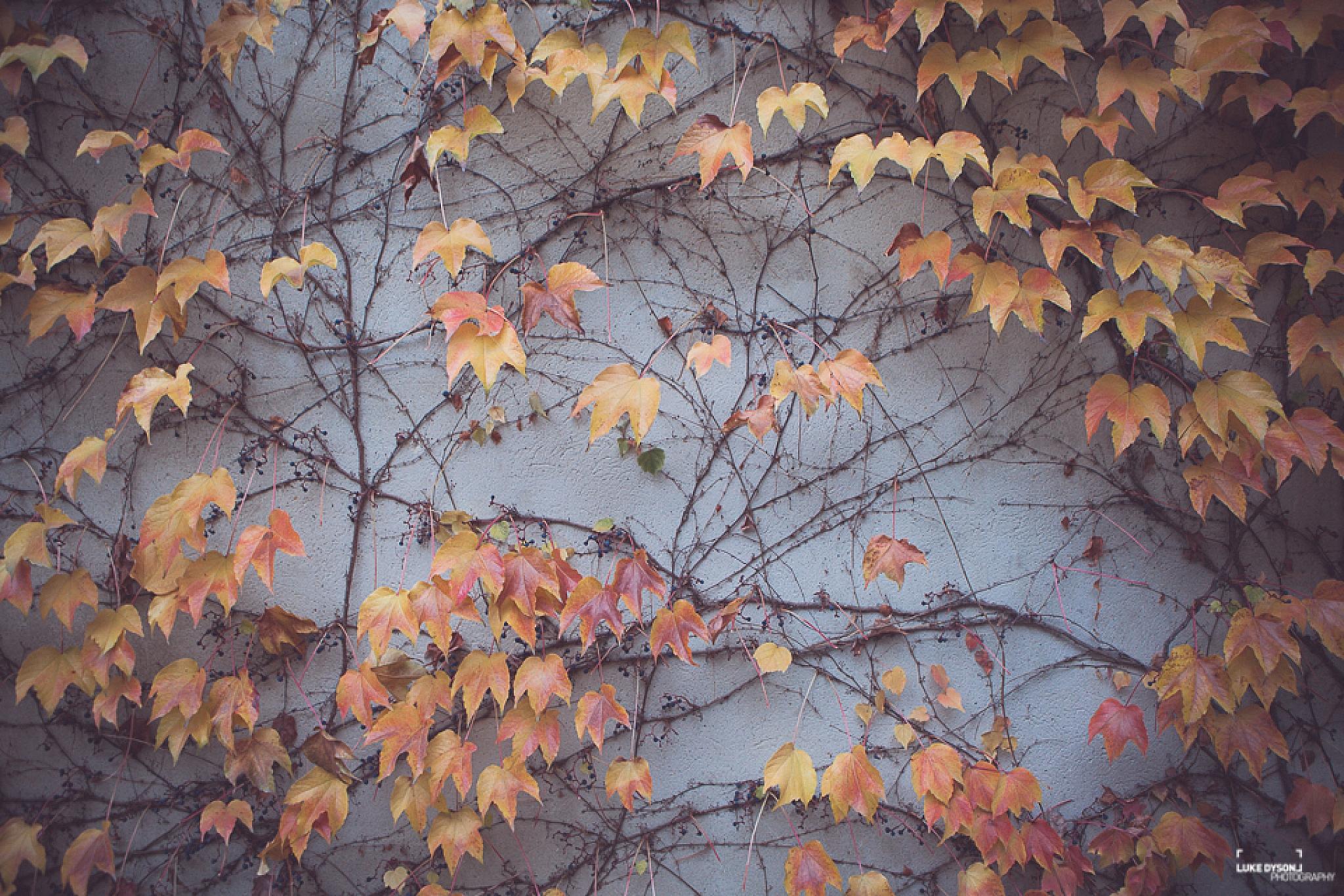 Duke Dumont - Live Show - European Tour - Luke Dyson Photography - Blog - November 2014