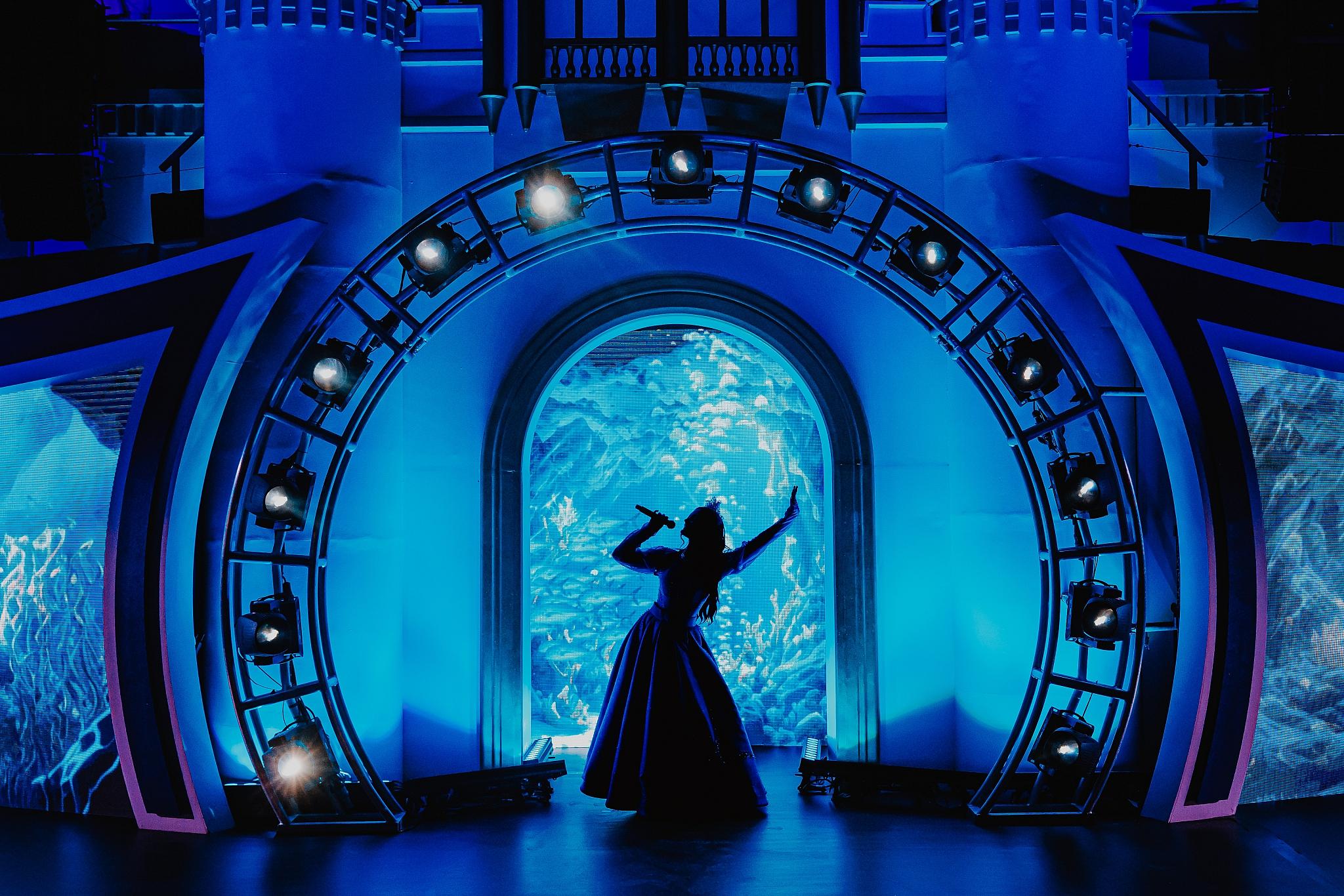 Luke Dyson - Disney: The Castle